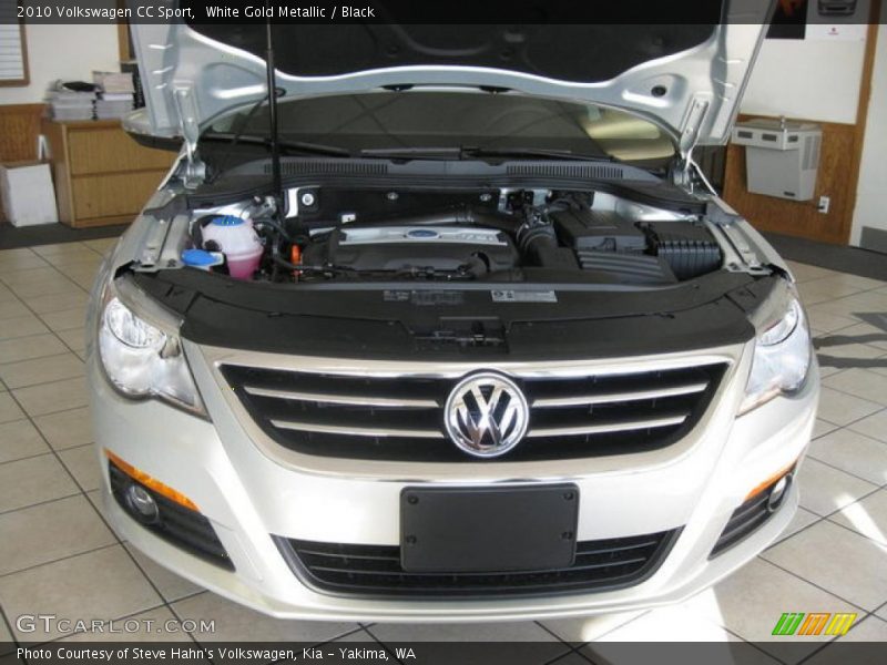 White Gold Metallic / Black 2010 Volkswagen CC Sport