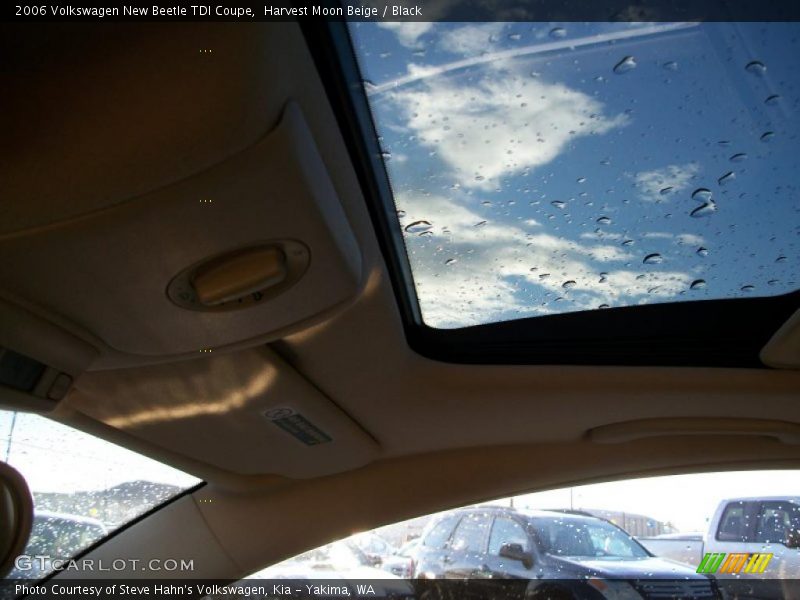 Harvest Moon Beige / Black 2006 Volkswagen New Beetle TDI Coupe