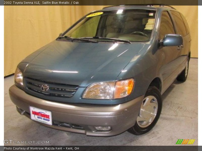 Sailfin Blue Metallic / Oak 2002 Toyota Sienna XLE