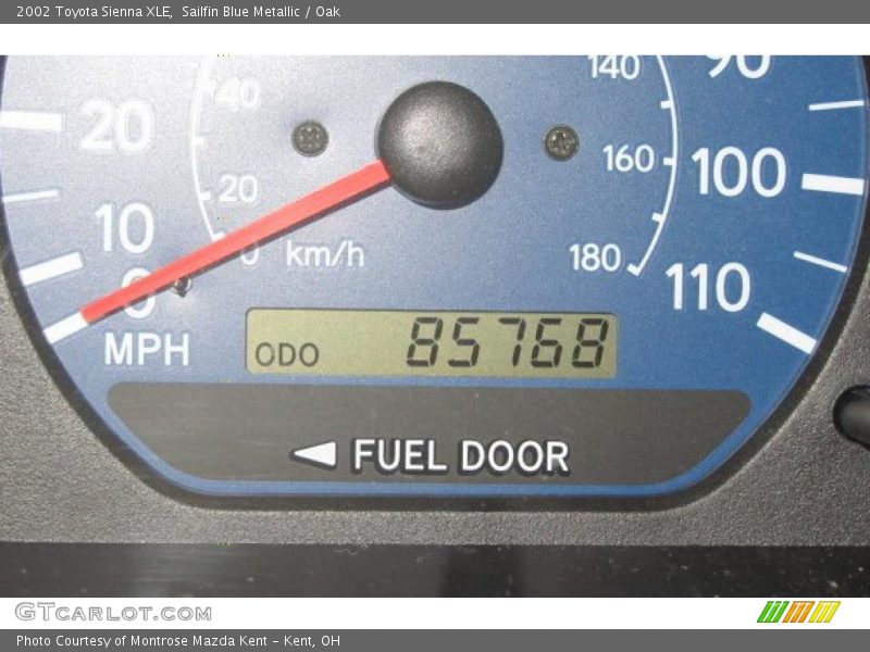 Sailfin Blue Metallic / Oak 2002 Toyota Sienna XLE
