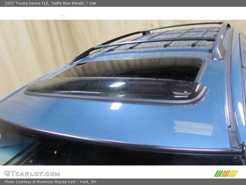 Sailfin Blue Metallic / Oak 2002 Toyota Sienna XLE