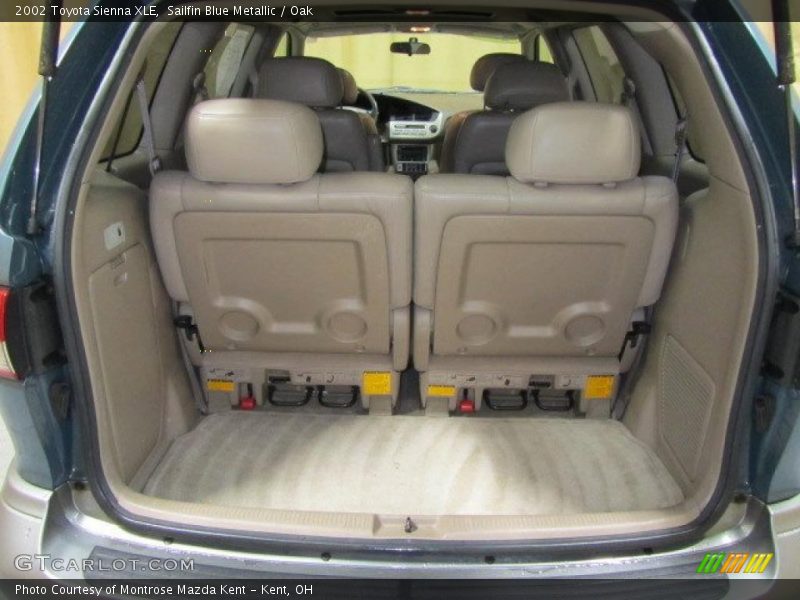 Sailfin Blue Metallic / Oak 2002 Toyota Sienna XLE