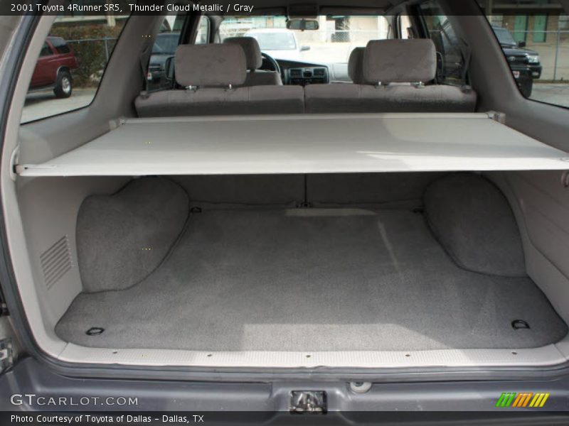 Thunder Cloud Metallic / Gray 2001 Toyota 4Runner SR5