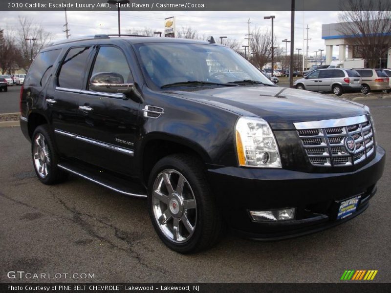 Black Raven / Cashmere/Cocoa 2010 Cadillac Escalade Luxury AWD