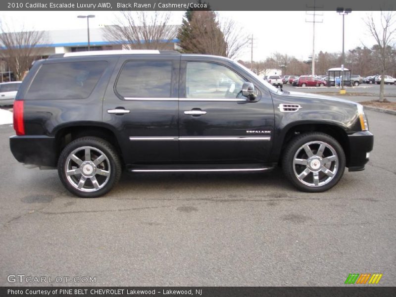 Black Raven / Cashmere/Cocoa 2010 Cadillac Escalade Luxury AWD