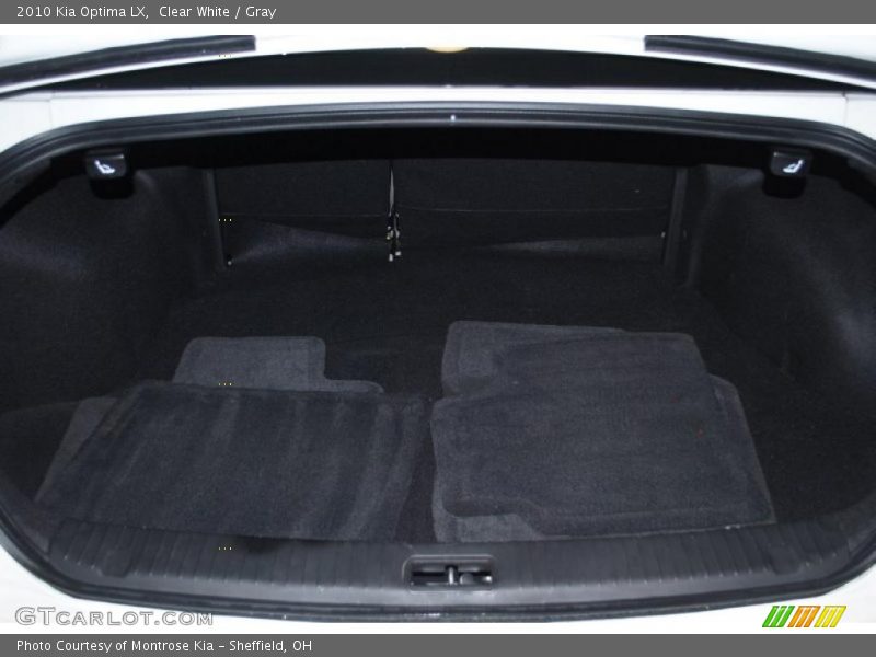 Clear White / Gray 2010 Kia Optima LX