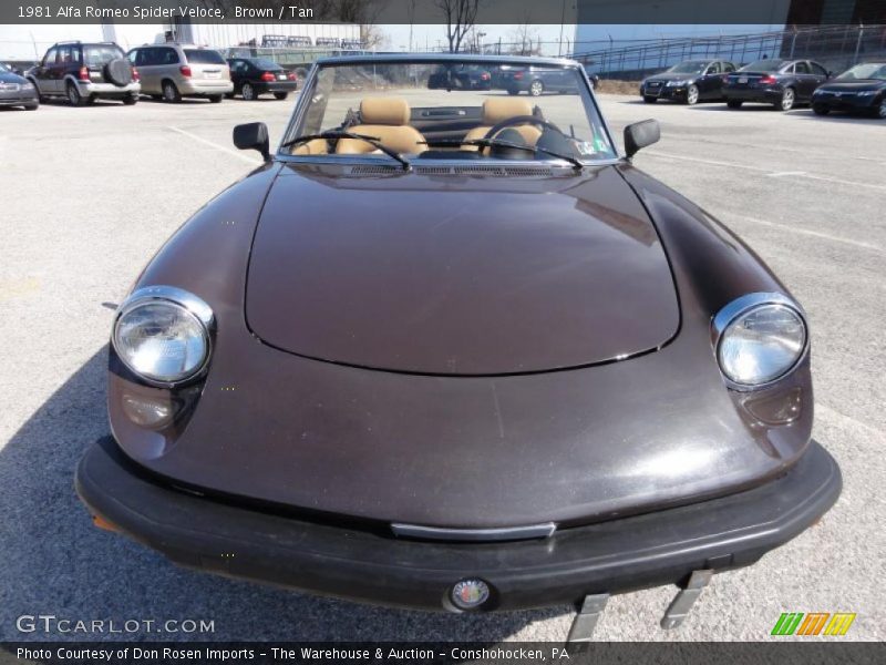  1981 Spider Veloce Brown