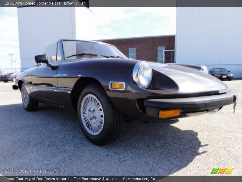 Brown / Tan 1981 Alfa Romeo Spider Veloce