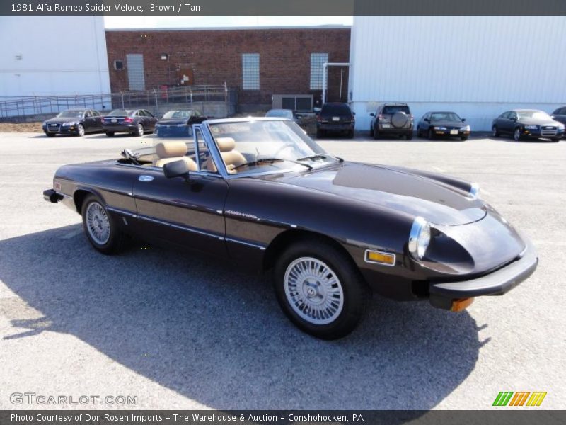 Brown / Tan 1981 Alfa Romeo Spider Veloce