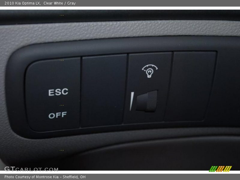 Clear White / Gray 2010 Kia Optima LX