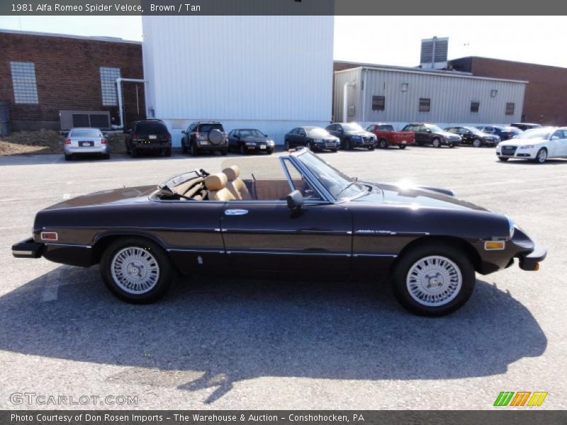 Brown / Tan 1981 Alfa Romeo Spider Veloce