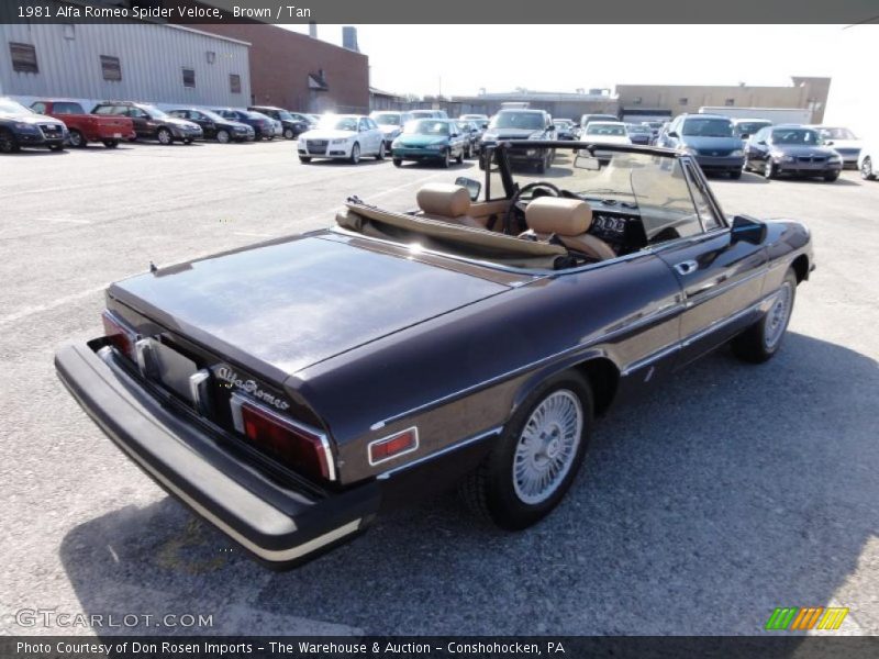Brown / Tan 1981 Alfa Romeo Spider Veloce