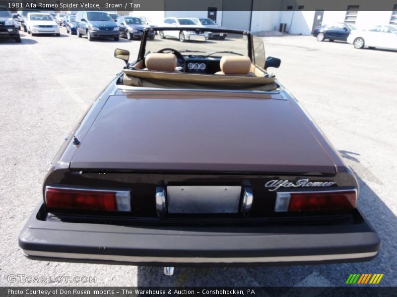 Brown / Tan 1981 Alfa Romeo Spider Veloce