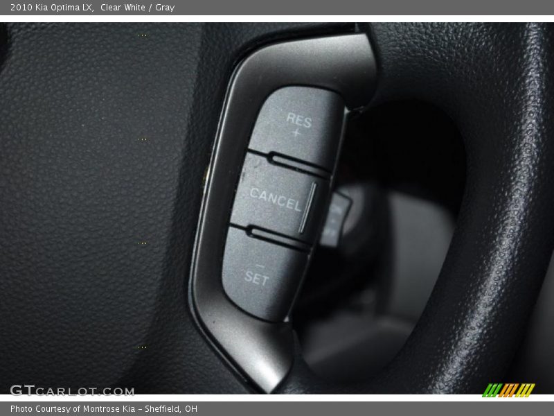 Clear White / Gray 2010 Kia Optima LX