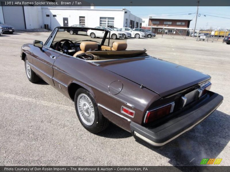  1981 Spider Veloce Brown