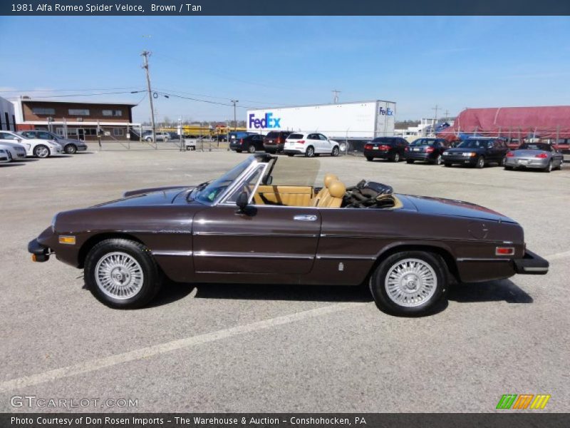  1981 Spider Veloce Brown