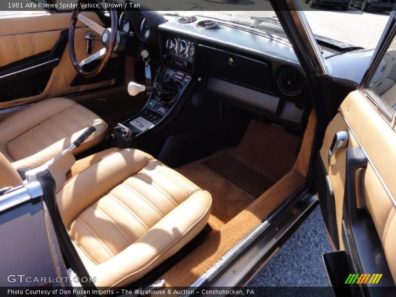 Brown / Tan 1981 Alfa Romeo Spider Veloce