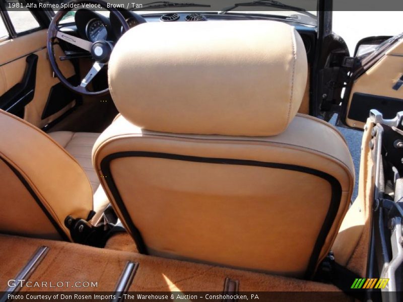 Brown / Tan 1981 Alfa Romeo Spider Veloce