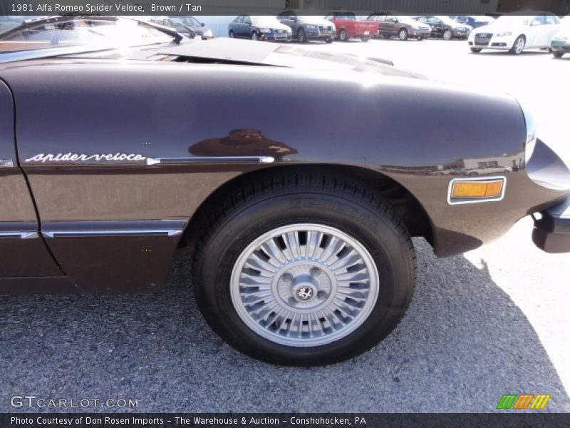 Brown / Tan 1981 Alfa Romeo Spider Veloce