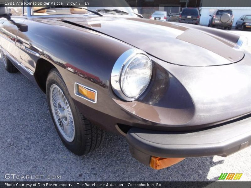 Brown / Tan 1981 Alfa Romeo Spider Veloce