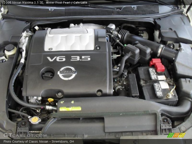 Winter Frost Pearl / Cafe Latte 2008 Nissan Maxima 3.5 SE