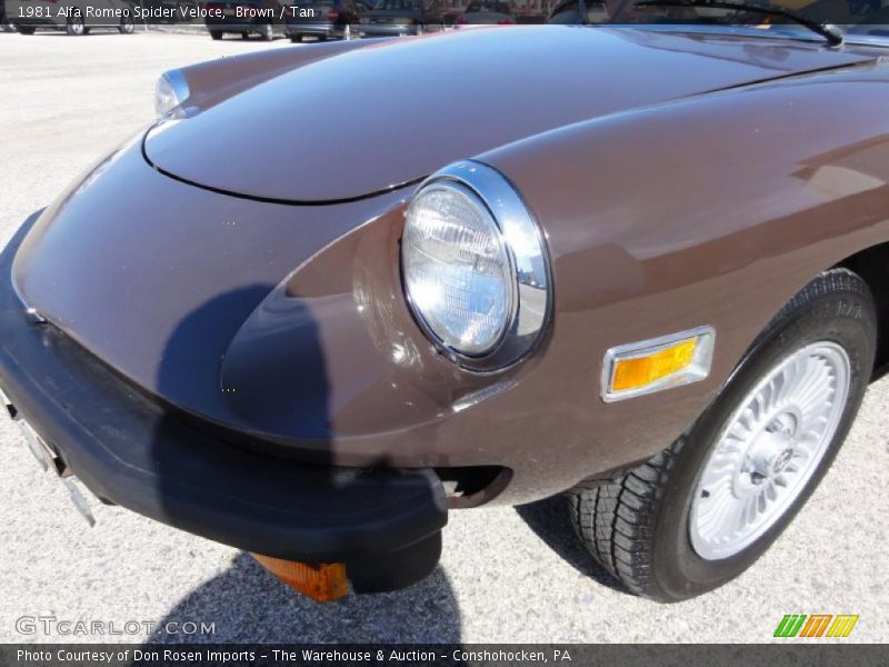 Brown / Tan 1981 Alfa Romeo Spider Veloce