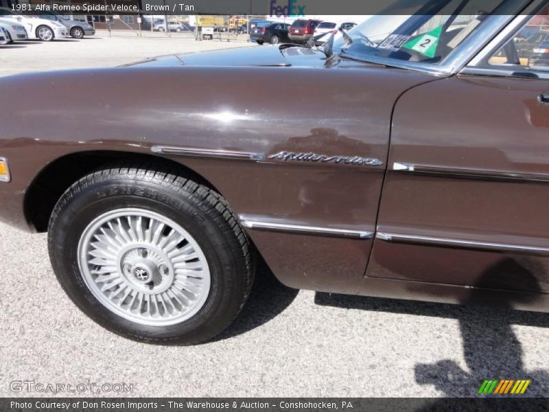 Brown / Tan 1981 Alfa Romeo Spider Veloce