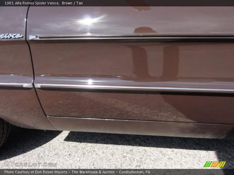 Brown / Tan 1981 Alfa Romeo Spider Veloce