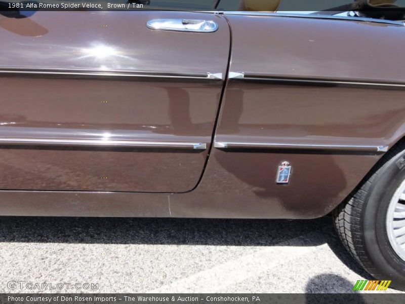 Brown / Tan 1981 Alfa Romeo Spider Veloce