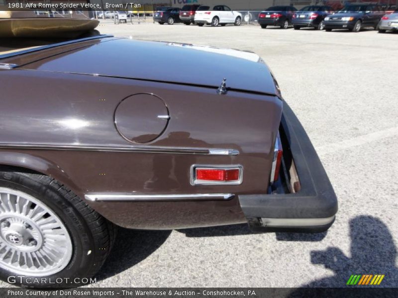 Brown / Tan 1981 Alfa Romeo Spider Veloce