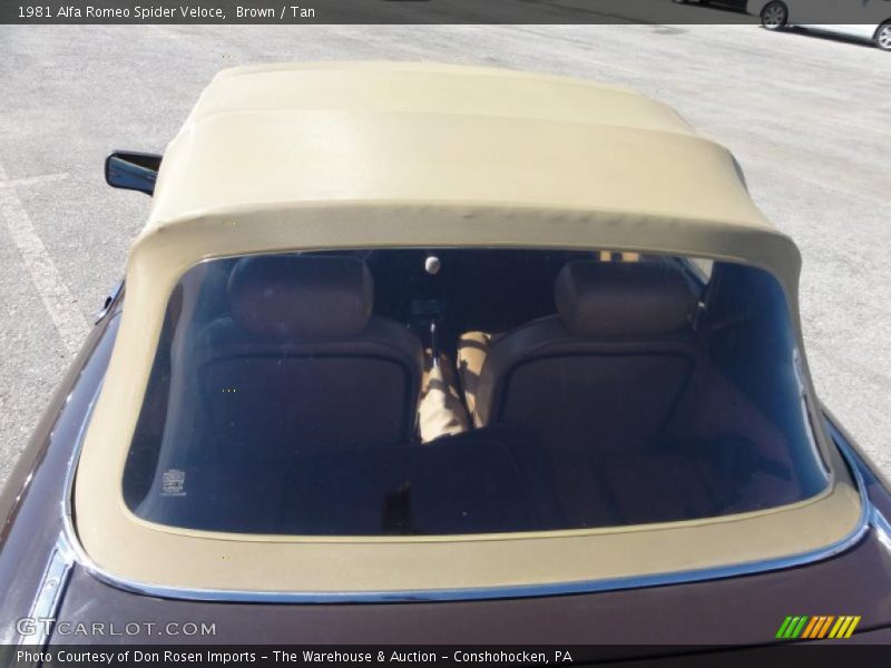 Brown / Tan 1981 Alfa Romeo Spider Veloce