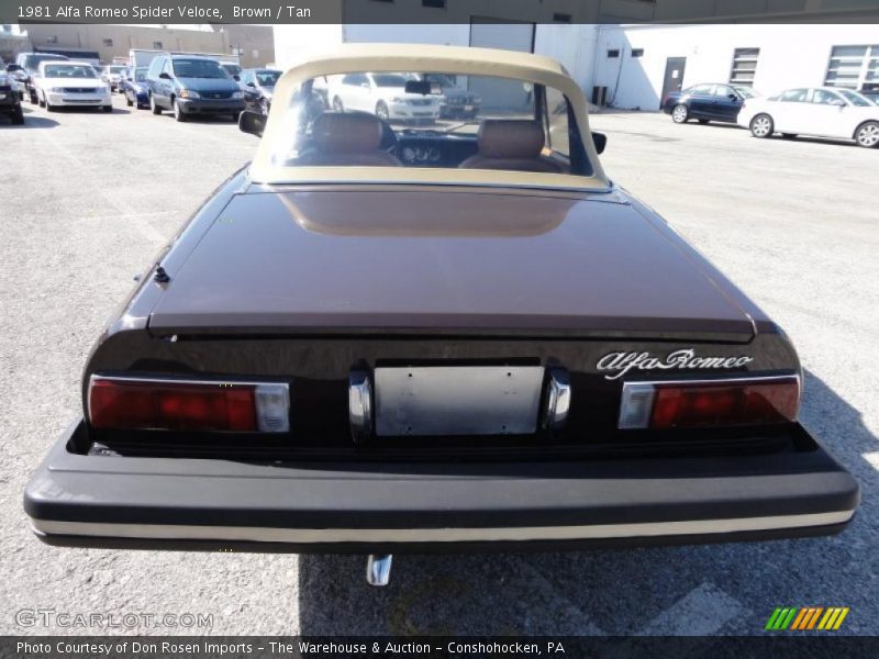  1981 Spider Veloce Brown