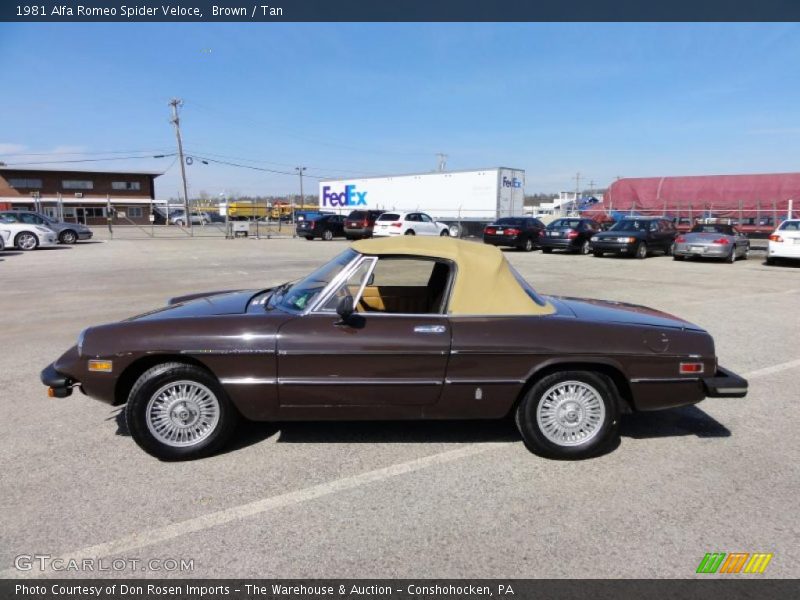  1981 Spider Veloce Brown