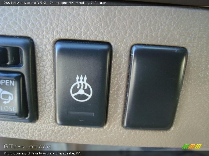 Champagne Mist Metallic / Cafe Latte 2004 Nissan Maxima 3.5 SL