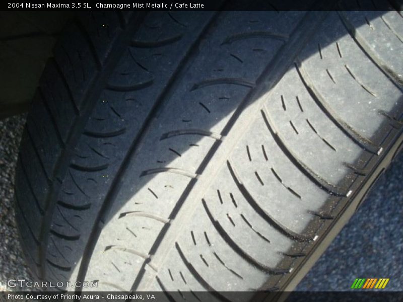 Champagne Mist Metallic / Cafe Latte 2004 Nissan Maxima 3.5 SL