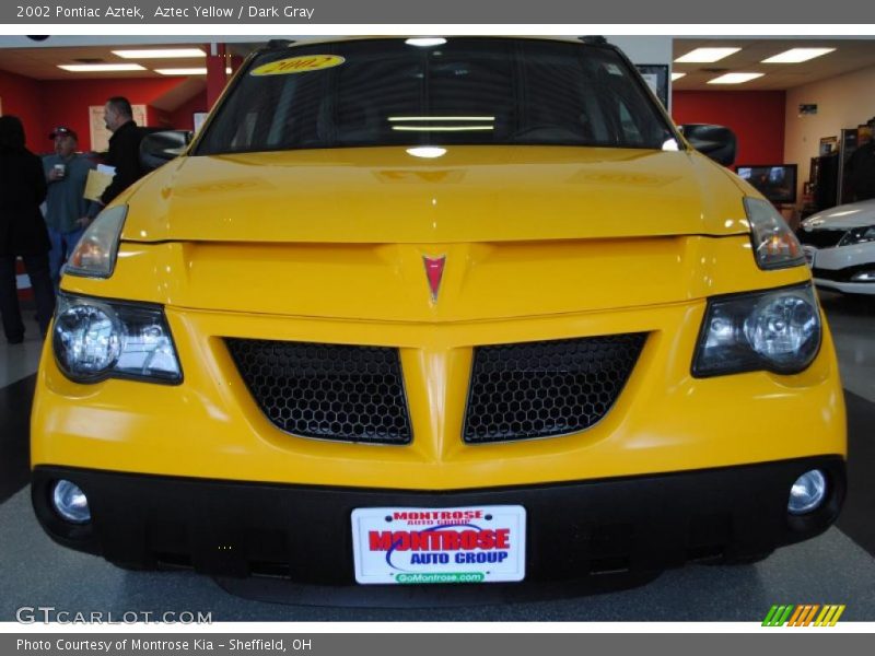 Aztec Yellow / Dark Gray 2002 Pontiac Aztek