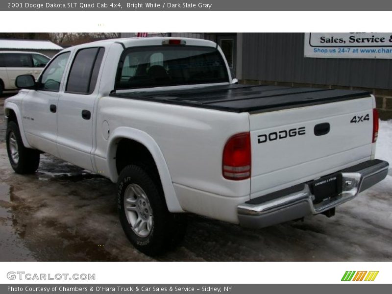 Bright White / Dark Slate Gray 2001 Dodge Dakota SLT Quad Cab 4x4