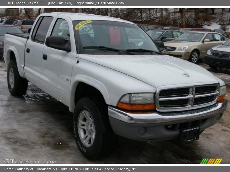 Bright White / Dark Slate Gray 2001 Dodge Dakota SLT Quad Cab 4x4
