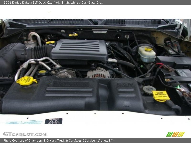 Bright White / Dark Slate Gray 2001 Dodge Dakota SLT Quad Cab 4x4