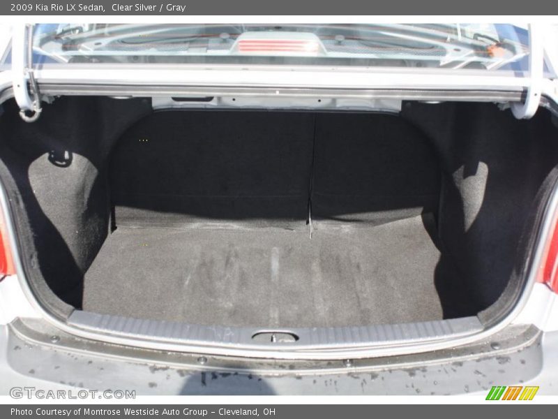 Clear Silver / Gray 2009 Kia Rio LX Sedan
