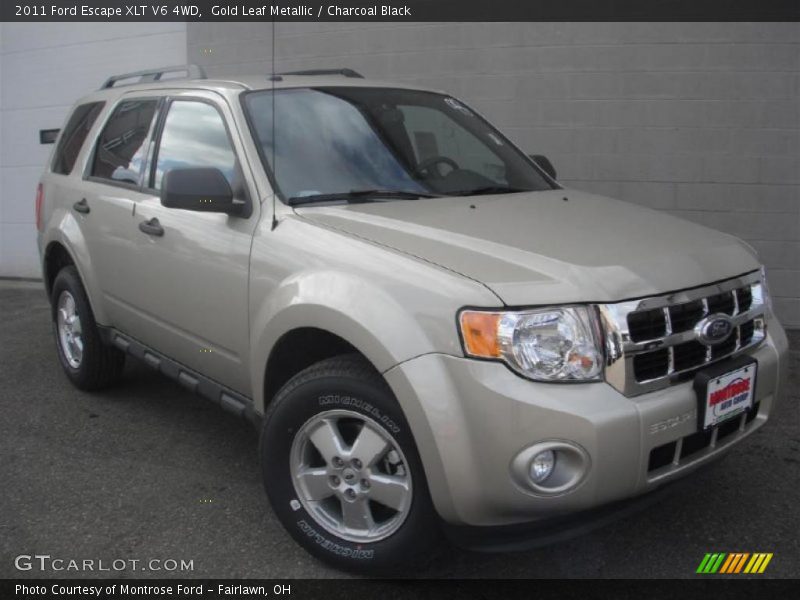 Gold Leaf Metallic / Charcoal Black 2011 Ford Escape XLT V6 4WD