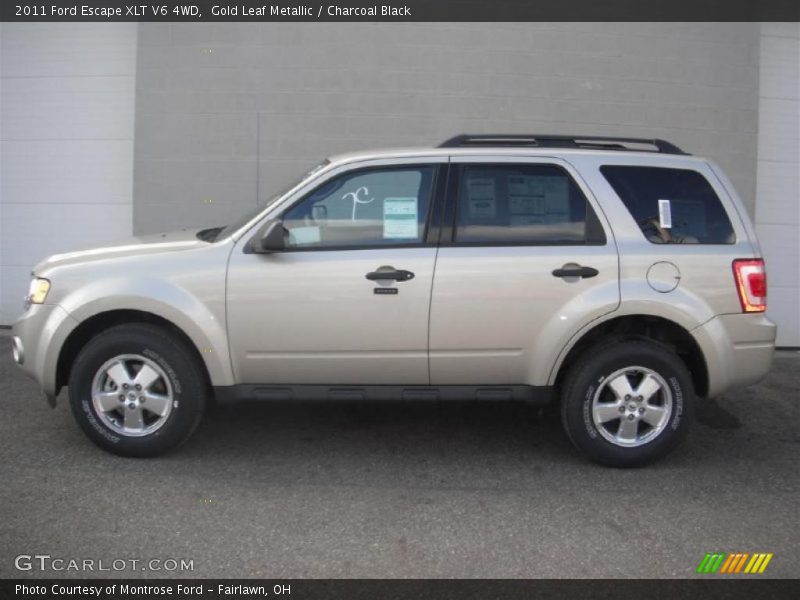 Gold Leaf Metallic / Charcoal Black 2011 Ford Escape XLT V6 4WD