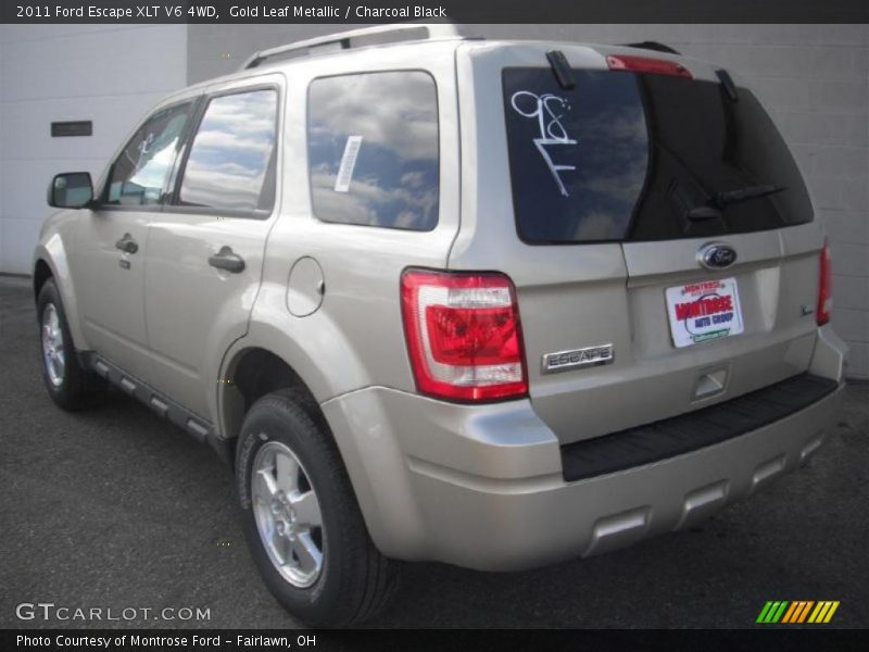 Gold Leaf Metallic / Charcoal Black 2011 Ford Escape XLT V6 4WD
