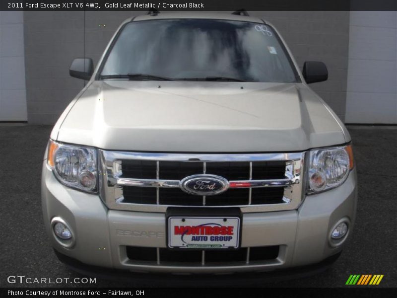 Gold Leaf Metallic / Charcoal Black 2011 Ford Escape XLT V6 4WD