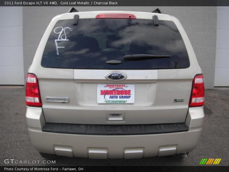 Gold Leaf Metallic / Charcoal Black 2011 Ford Escape XLT V6 4WD