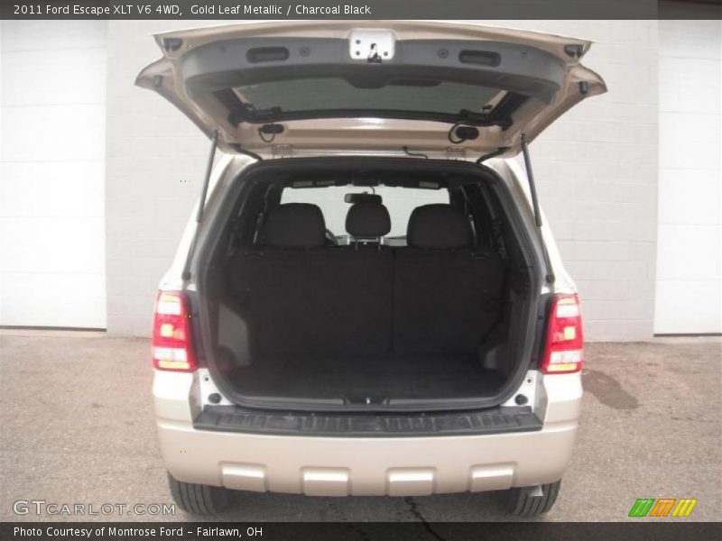 Gold Leaf Metallic / Charcoal Black 2011 Ford Escape XLT V6 4WD