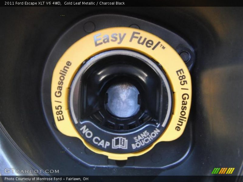 Gold Leaf Metallic / Charcoal Black 2011 Ford Escape XLT V6 4WD