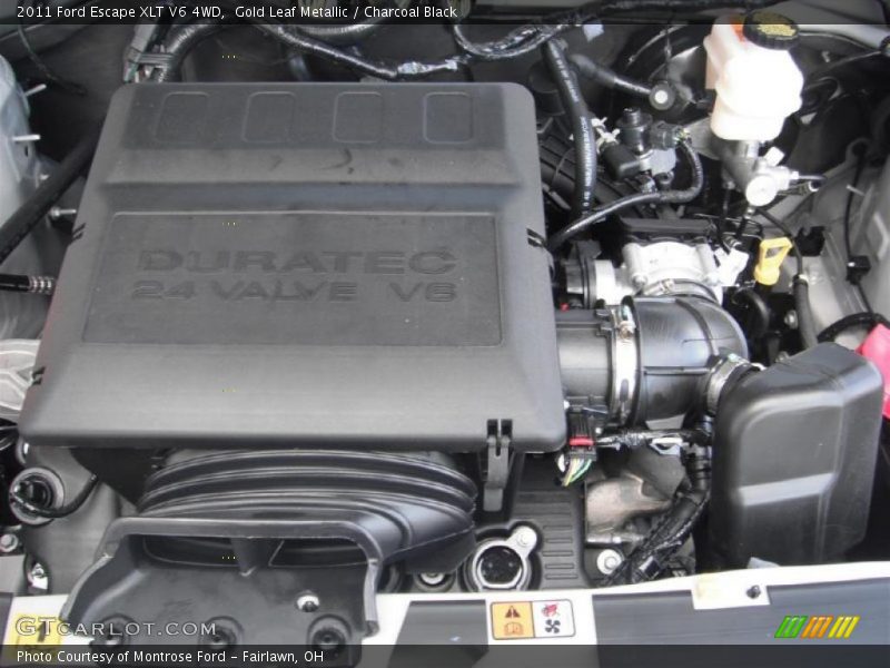 Gold Leaf Metallic / Charcoal Black 2011 Ford Escape XLT V6 4WD