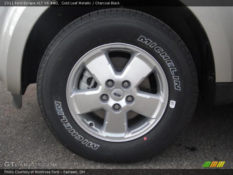 Gold Leaf Metallic / Charcoal Black 2011 Ford Escape XLT V6 4WD