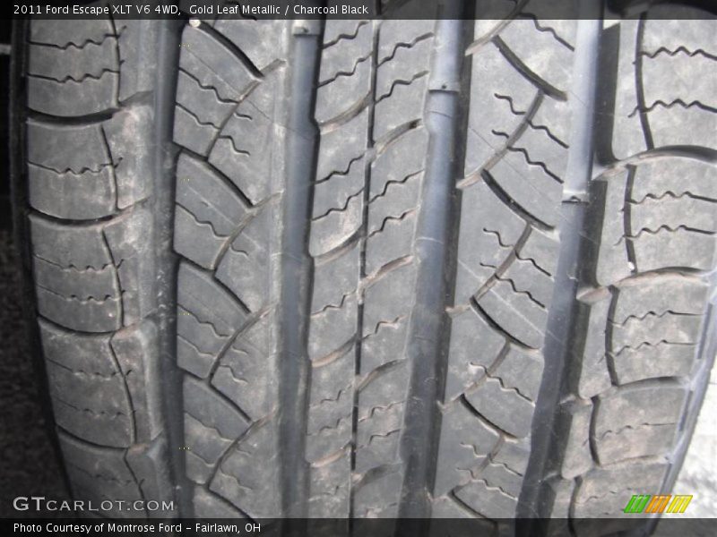 Gold Leaf Metallic / Charcoal Black 2011 Ford Escape XLT V6 4WD